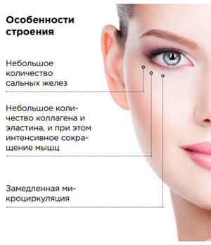Особенности  строения кожи вокруг глаз